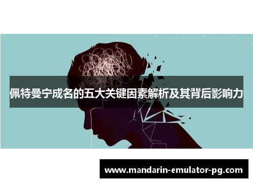 佩特曼宁成名的五大关键因素解析及其背后影响力