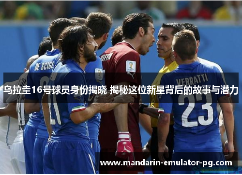 乌拉圭16号球员身份揭晓 揭秘这位新星背后的故事与潜力 乌拉圭16号球员身份揭晓 揭秘这位新星背后的故事与潜力