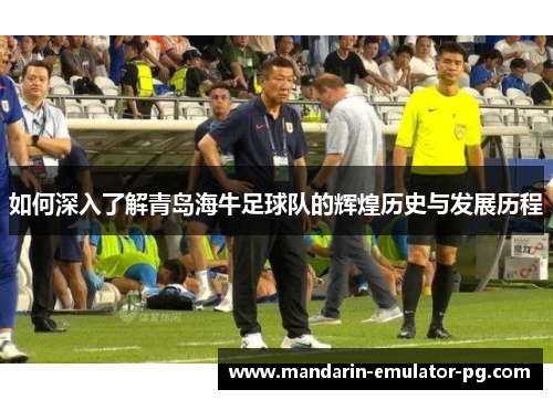 如何深入了解青岛海牛足球队的辉煌历史与发展历程