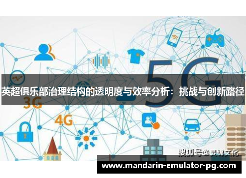 英超俱乐部治理结构的透明度与效率分析：挑战与创新路径