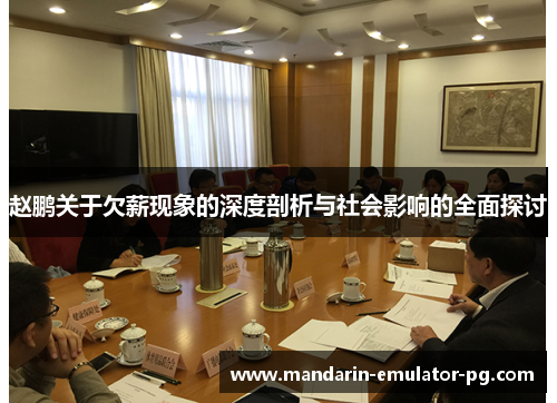 赵鹏关于欠薪现象的深度剖析与社会影响的全面探讨