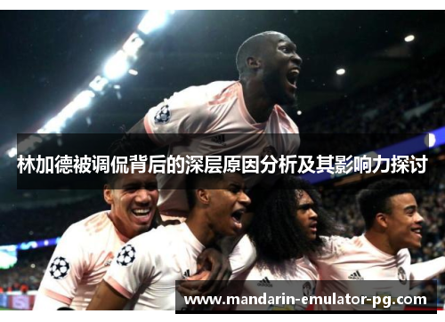 林加德被调侃背后的深层原因分析及其影响力探讨