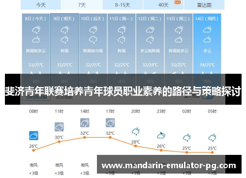 斐济青年联赛培养青年球员职业素养的路径与策略探讨