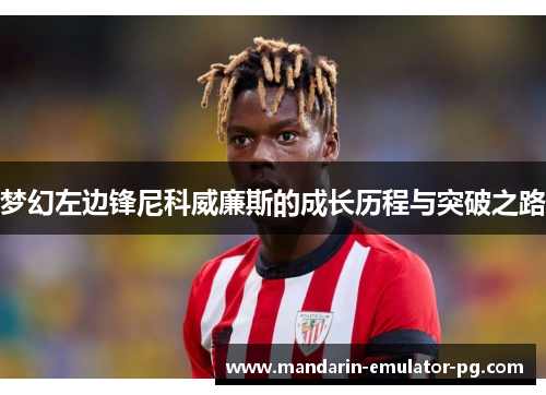 梦幻左边锋尼科威廉斯的成长历程与突破之路